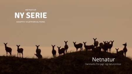 Tanker om jægere og konen i muddergrøften