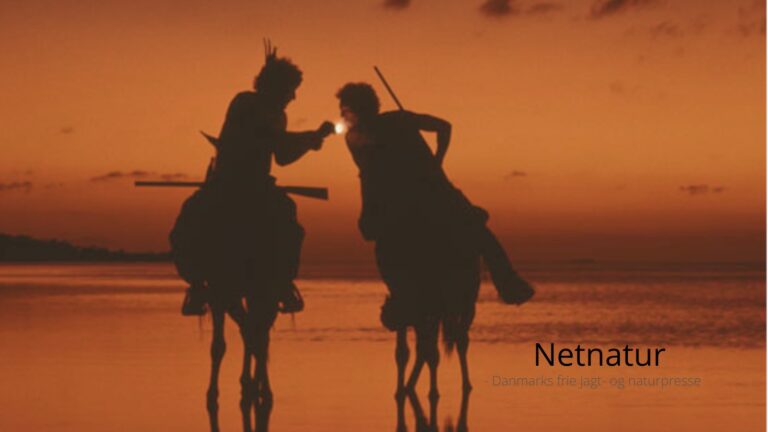 Nyt foredrag med Freddy Wulff