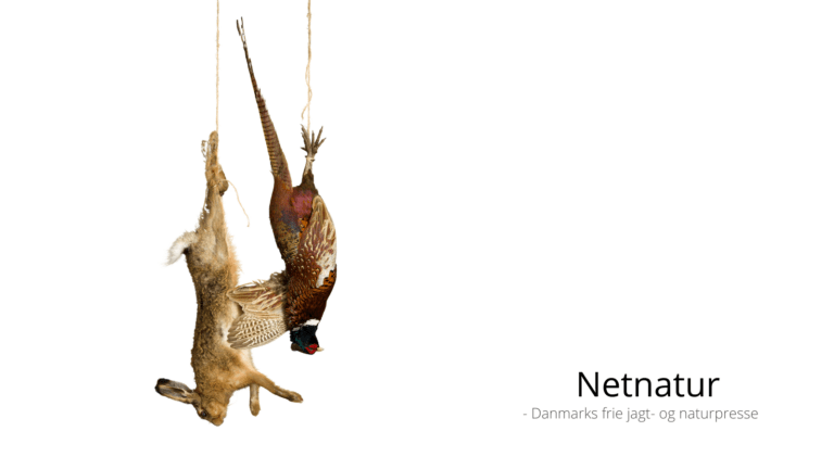 Hvordan får jægerforbundet flere medlemmer og mere respekt