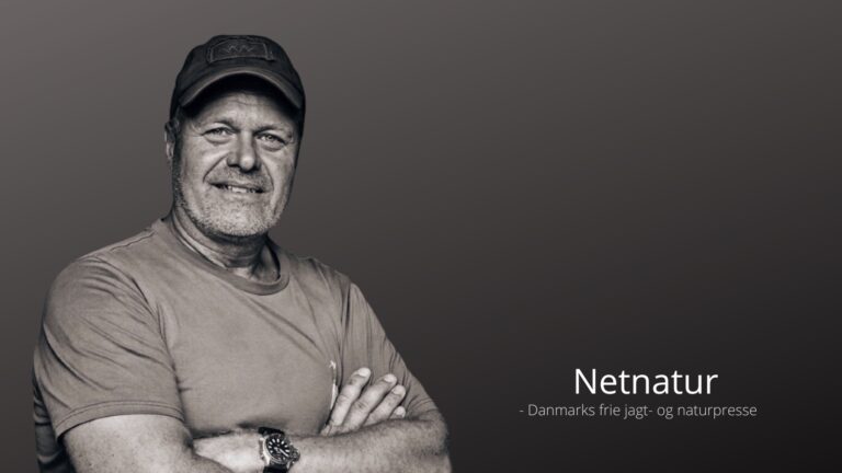 Hvad blev der af formandskandidaten?