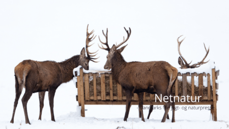 Læserbrev om samforvaltning, jagttider og uddannelse af jægerne