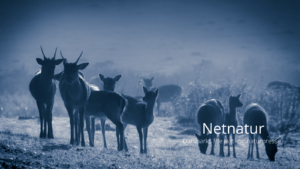 JAGTTIDER - generelle og lokale