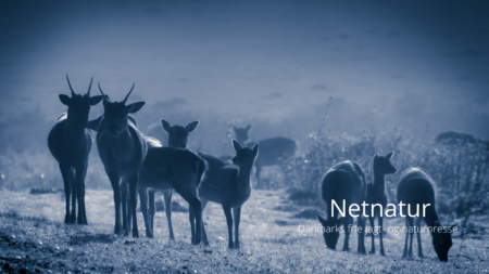 JAGTTIDER - generelle og lokale