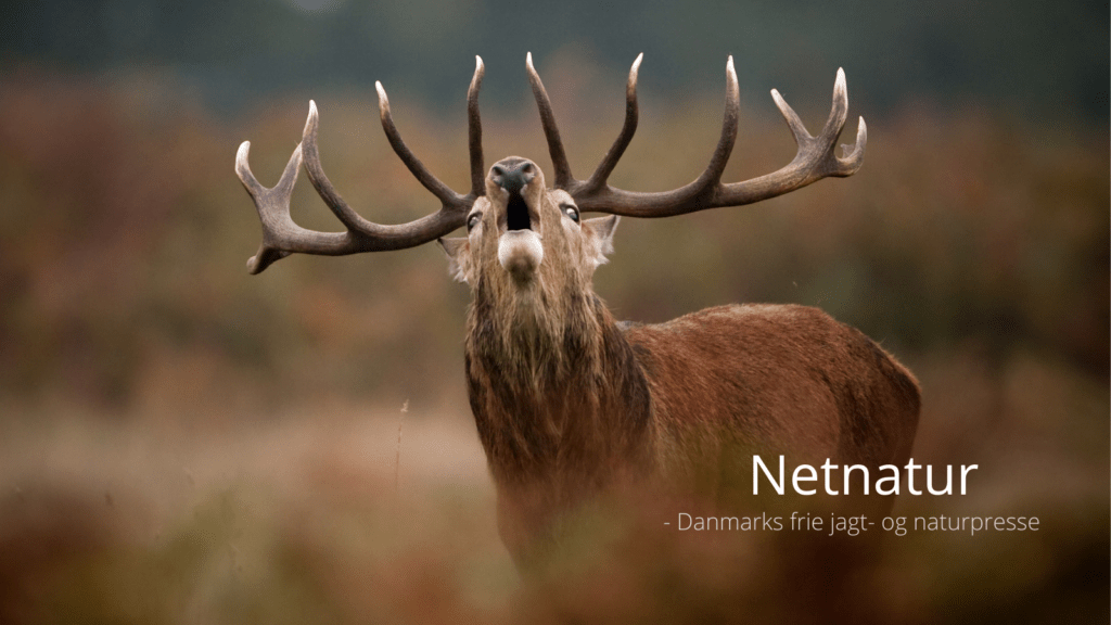 Den danske model Den danske model