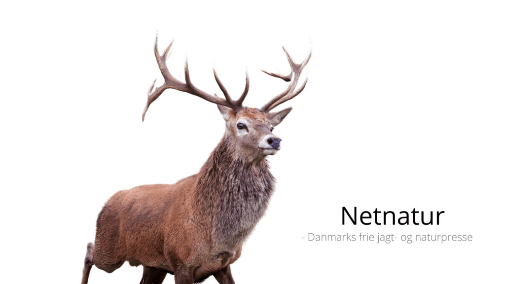 Netnatur skaber stadig debat