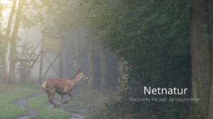 De jagtetiske regler 2026