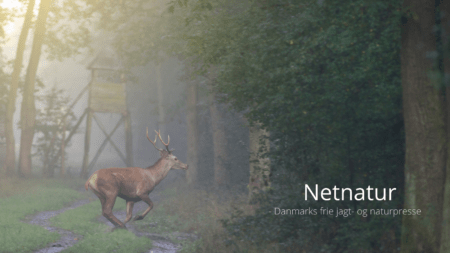 FADB fastholder konklusion