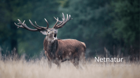 Hunters Point udvider