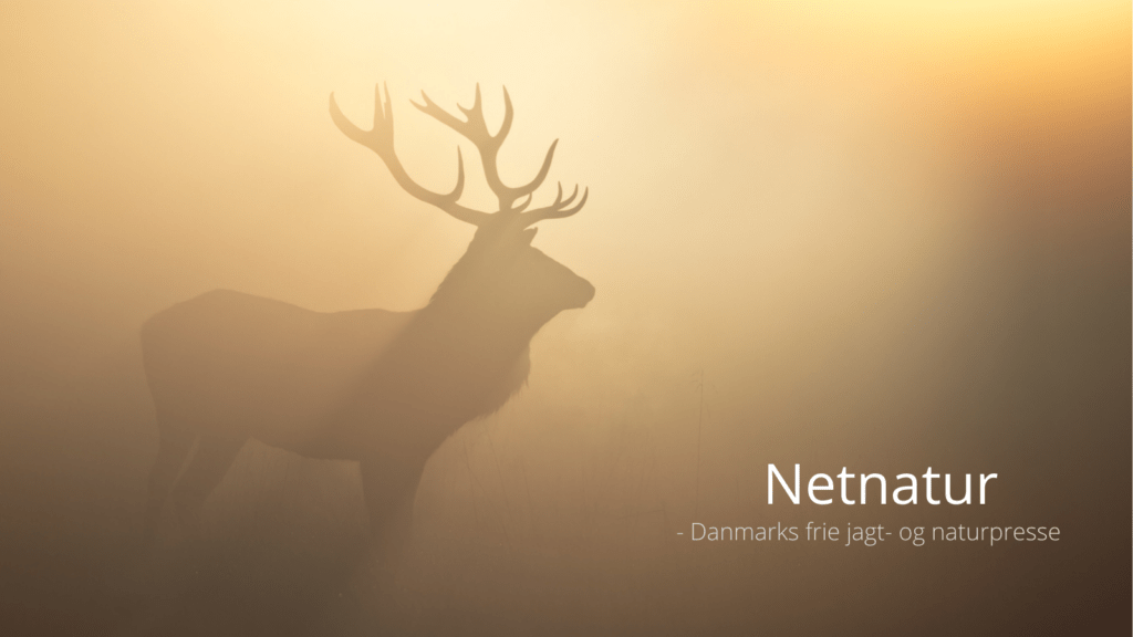 Sporting Conservation International - ny aktør i global udeliv-bevarelse