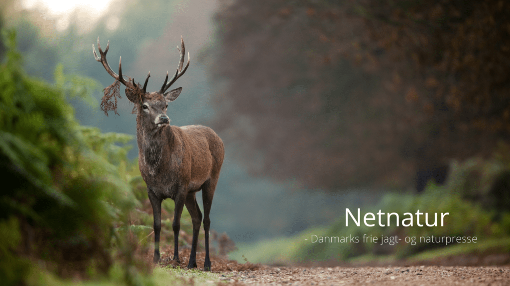 Nye naturnationalparker