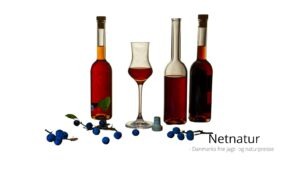 Lav din egen slåen-gin