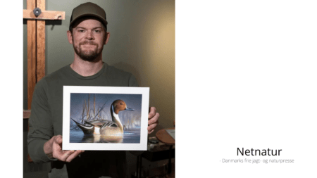 Frimærkesalg bevarer vådområder