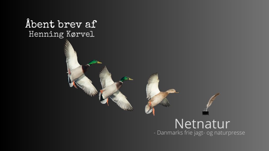 Henning Kørvel sender åbent brev til miljøministeren