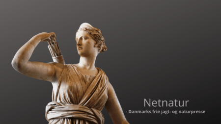 Diana, jagtens gudinde Diana, jagtens gudinde