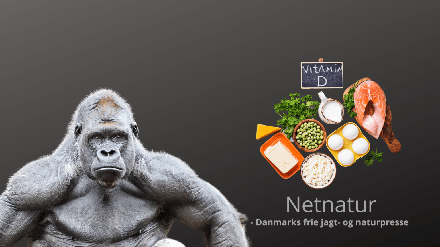 Aber og mennesker er dybt afhængige af D-vitamin