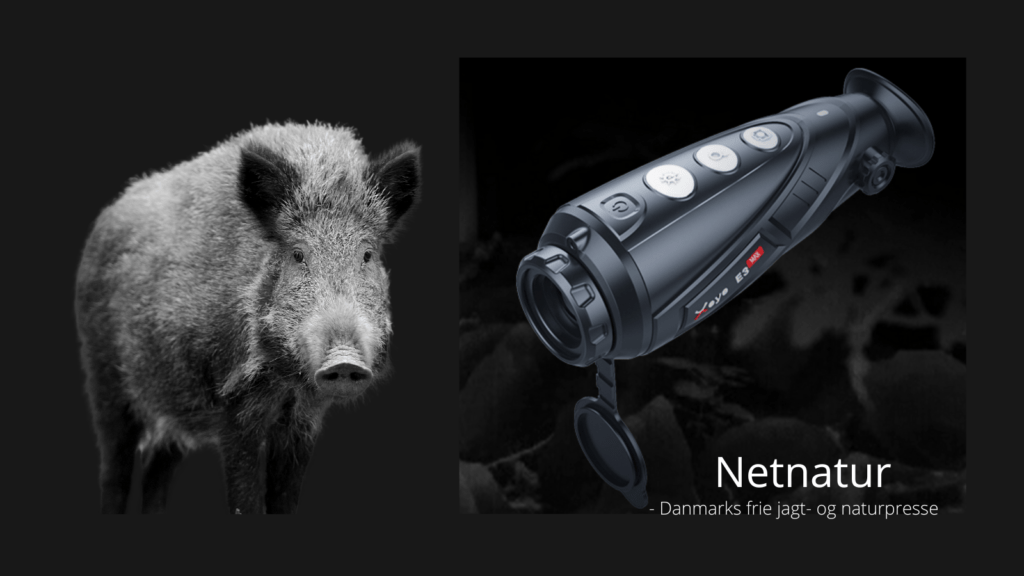 Nieload tager nyt strategisk skridt