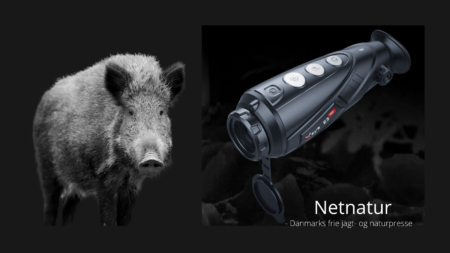 Nieload tager nyt strategisk skridt Nieload tager nyt strategisk skridt