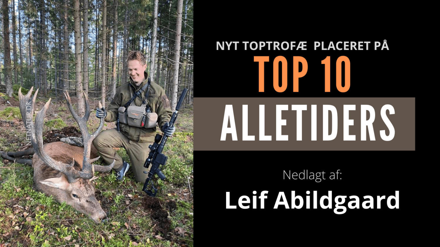 Ny TOP 10 hjort