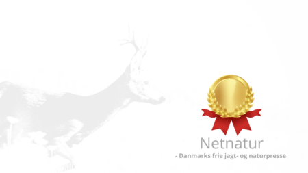 Råbuk: Ny verdensrekord?