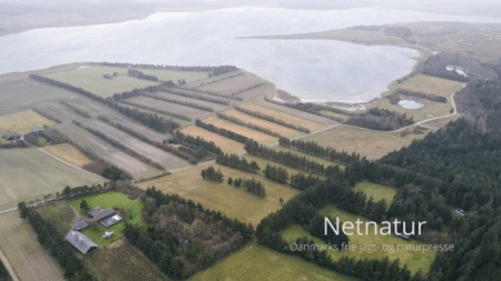 Liebhaverejendom på 8,3 ha og med nationalpark som nabo