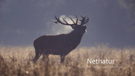 Ny formand og ny kurs i Nordisk Safari Klub