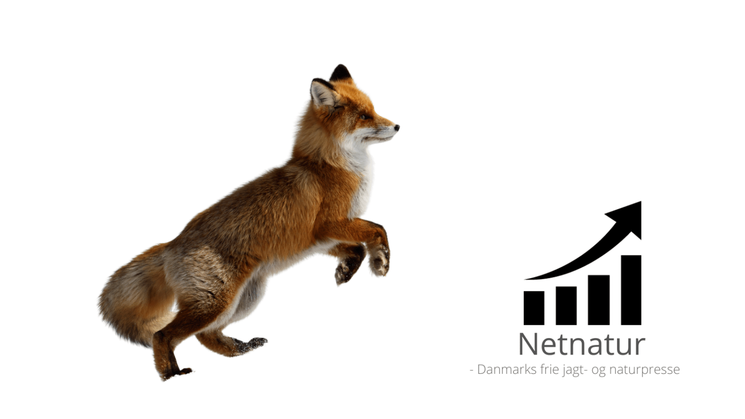 Netnatur besøg