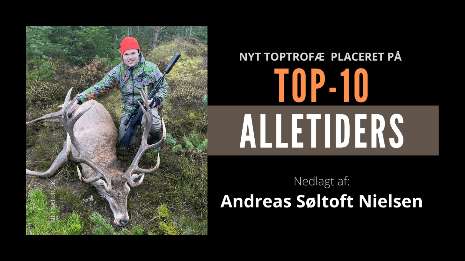 Thyhjort på Top-10 Alletiders