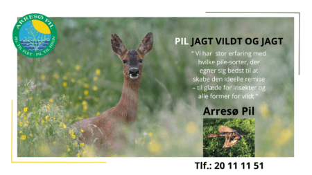 Arresø pil