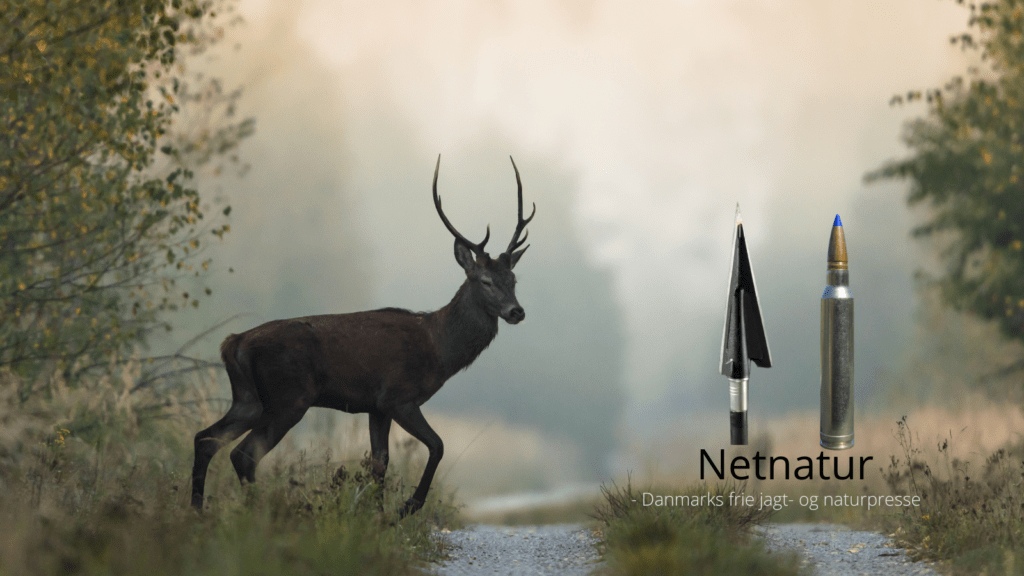 Læserbrev om buejagt, riffeljagt og dyreetik Læserbrev om buejagt, riffeljagt og dyreetik