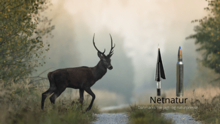 Læserbrev om buejagt, riffeljagt og dyreetik