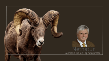 Fornem pris til ungarsk jæger Fornem pris til ungarsk jæger