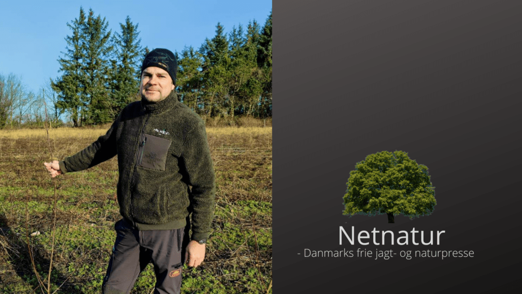 Ny samarbejdsaftale giver bedre muligheder for tilskud til mindre skovrejsninger