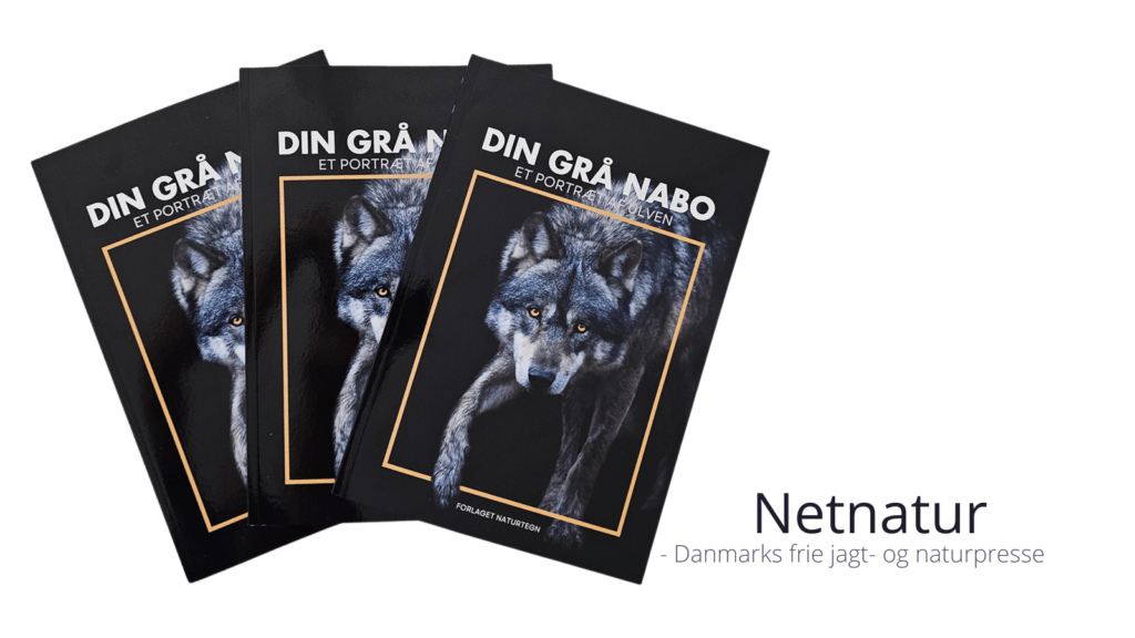 Ulvebogen.dk udgiver "Din grå nabo" - et portræt af ulven