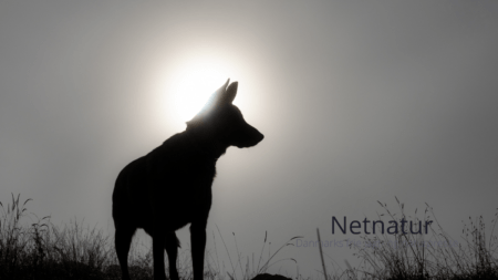 32 får mistet livet efter angreb