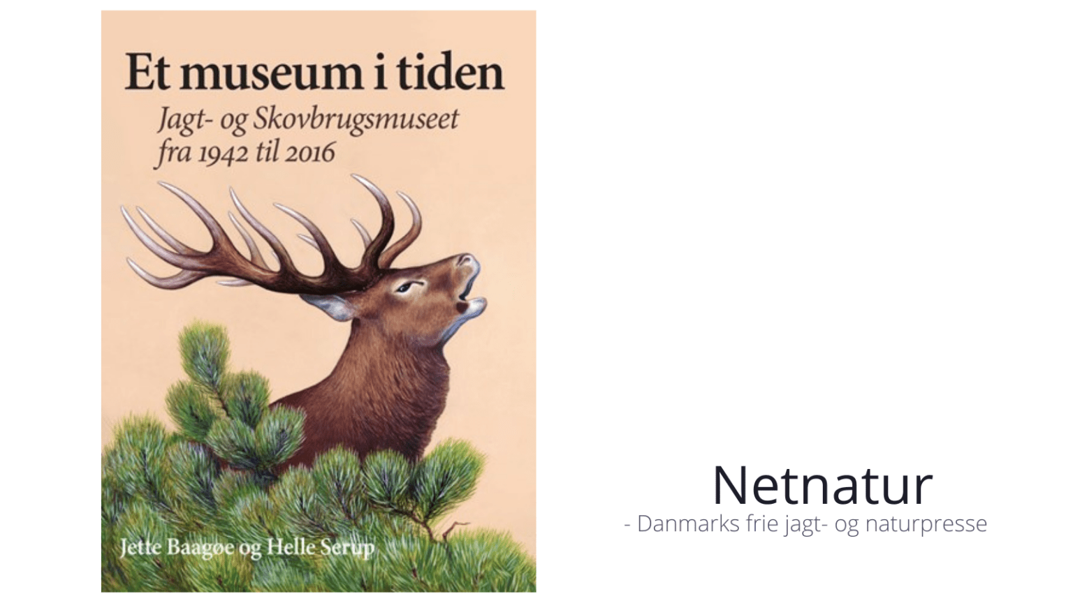 Ny bog: Et museum i tiden