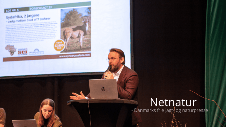 Stor jagtrejseauktionen i Odense til værdi af 2 millioner kroner
