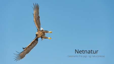 På udflugt til Tystrup-Bavelse Søerne