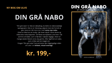 Ulvebogen.dk udgiver "Din grå nabo" - et portræt af ulven