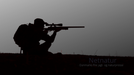 Indskydning med blyfri riffelammunition