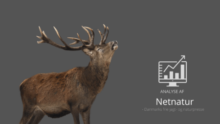 Udsigt til flere kolde hænder i vildtforvaltningen