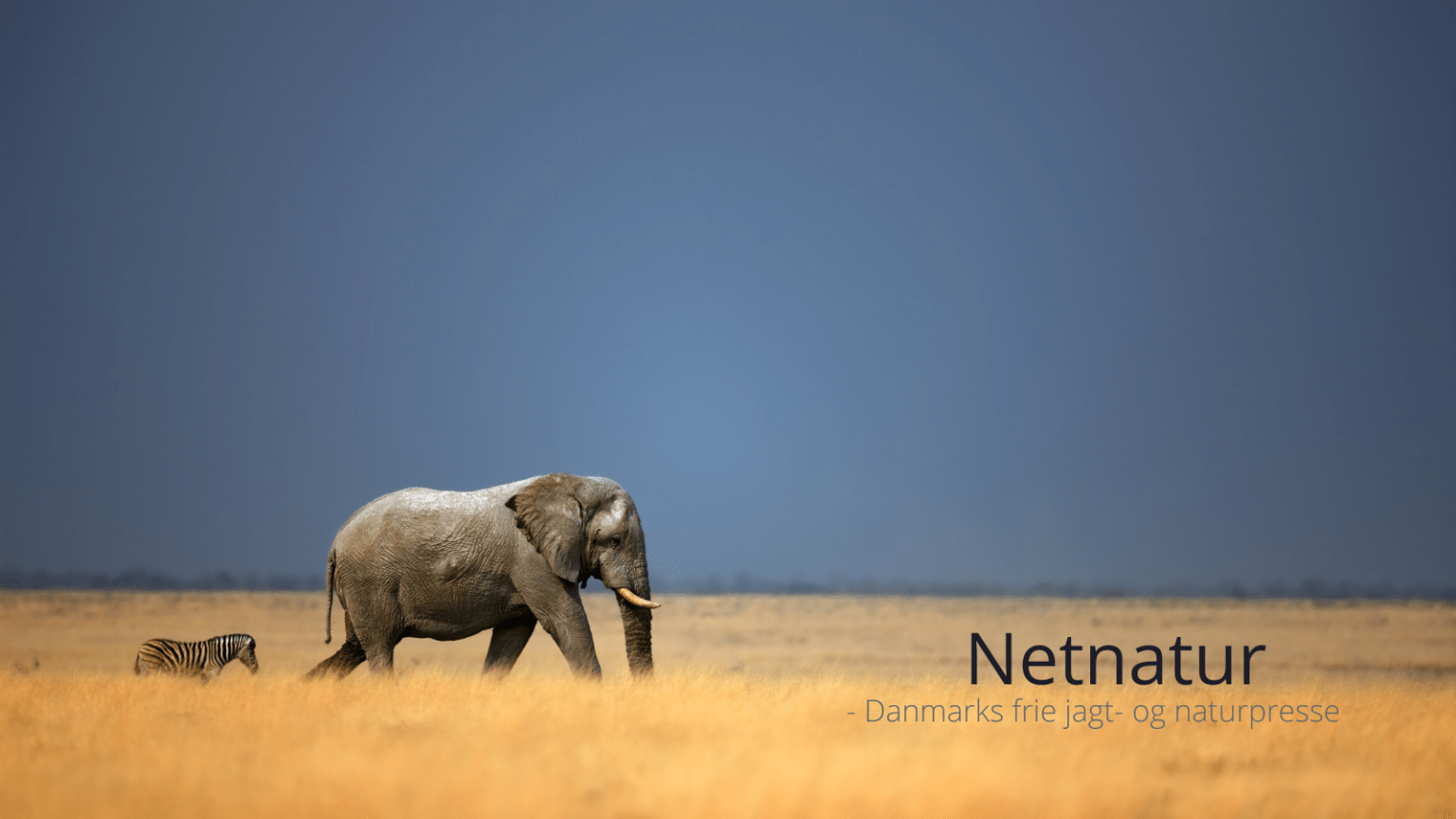 Når naturbeskyttelse koster menneskeliv i Afrika Når naturbeskyttelse koster menneskeliv i Afrika