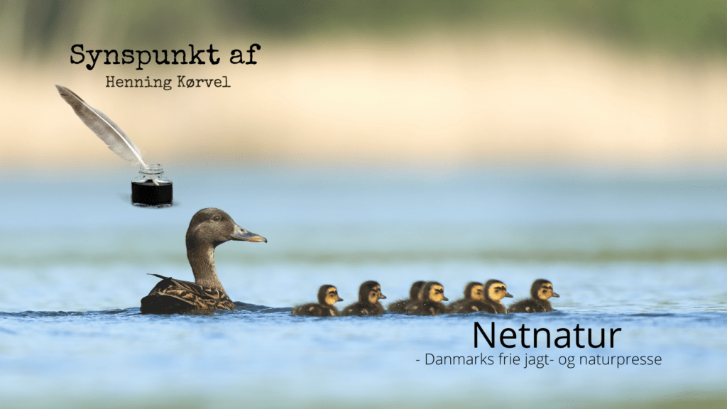 Udsætningsforliget må revurderes Udsætningsforliget må revurderes