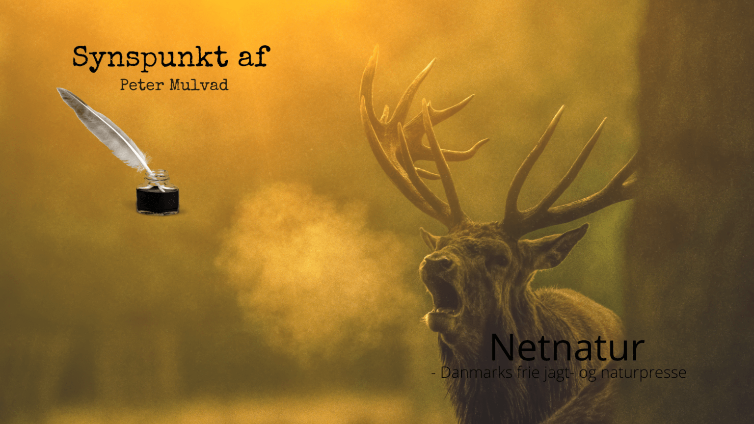 En jægers natursyn