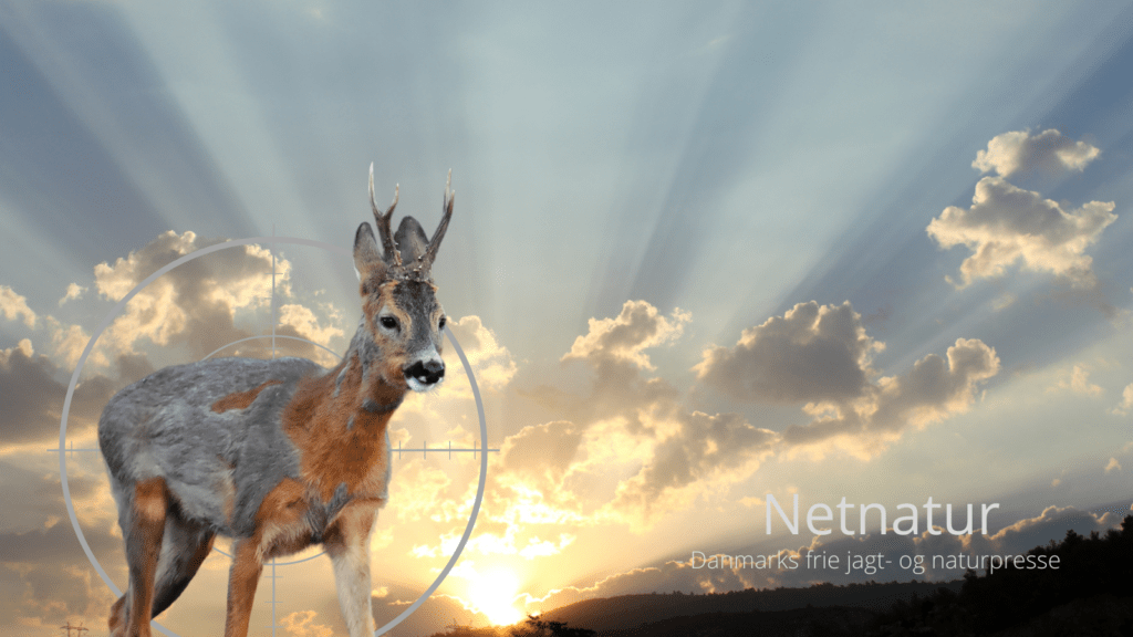 Solopgang og solnedgang - hvor og hvornår?