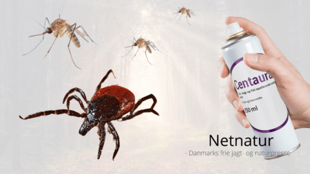 Centaura: Innovativ og velduftende beskyttelse mod insekter og flåt