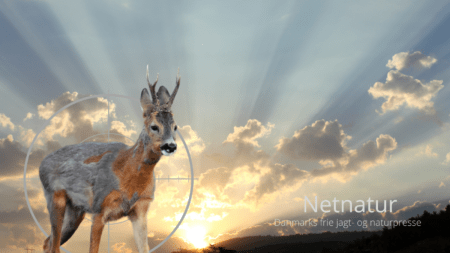 Solopgang og solnedgang – hvor og hvornår? Solopgang og solnedgang - hvor og hvornår?