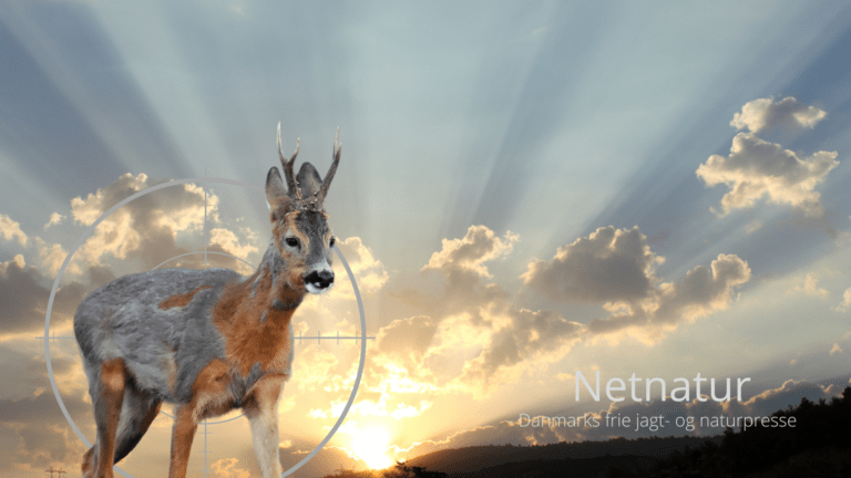 Solopgang og solnedgang – hvor og hvornår? Solopgang og solnedgang - hvor og hvornår?