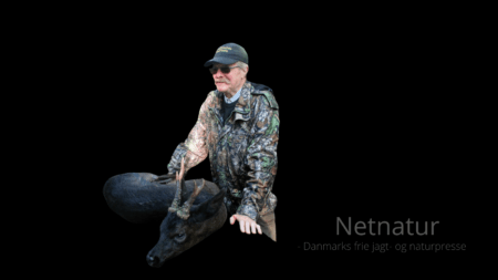 Sort tysk råvildt til Spanien og retur igen