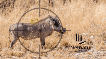 6,5×55 – Kaliberreglerne i Sydafrika