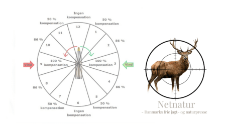 Riffelkuglen fra riflen til målet